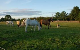 The Little Flock Farm